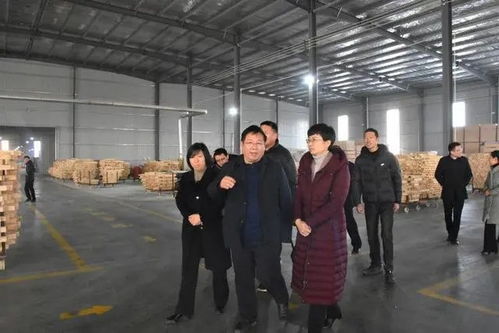 菏泽东明县大屯镇推动木材加工产业链的升级和发展